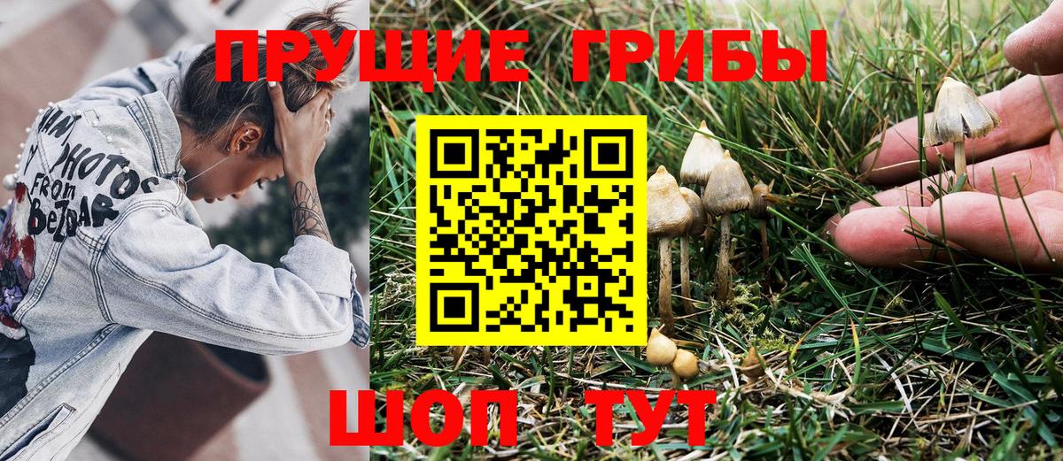 Псилоцибиновые грибы Cubensis Железноводск